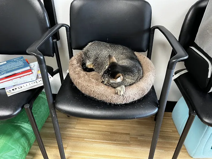 Cat Care Clinic 6