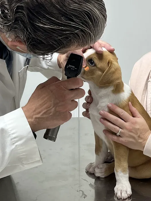 Associated Animal Clinic of Indiana Inc - Larry Reyman,DVM 1