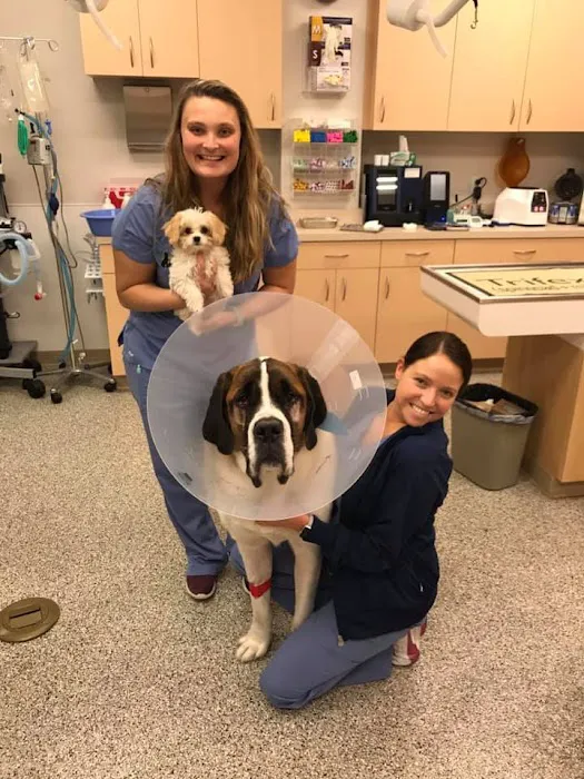 College Park Pet Wellness Clinic 8