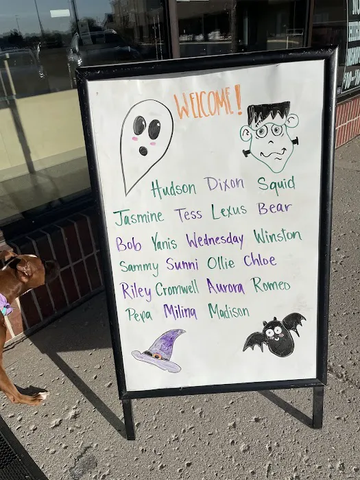 College Park Pet Wellness Clinic 5