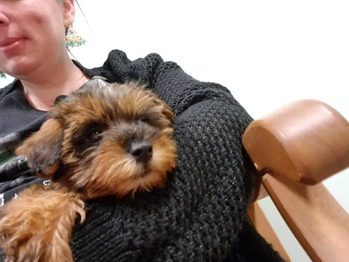 McCordsville Veterinary Hospital 5