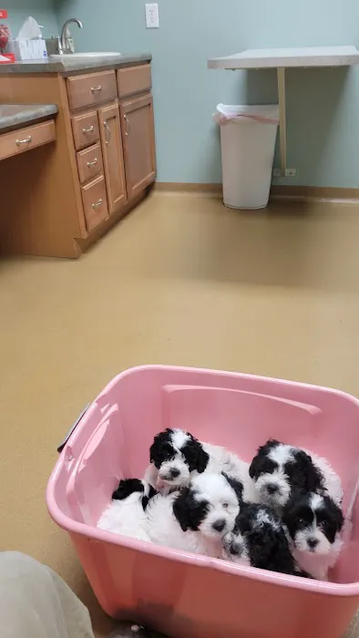 McCordsville Veterinary Hospital 2