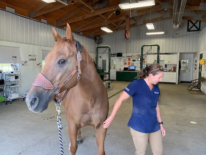 Horse & Hound Veterinary Clinic 5