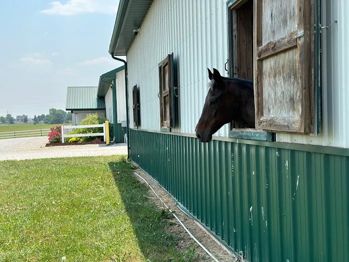 Horse & Hound Veterinary Clinic 3