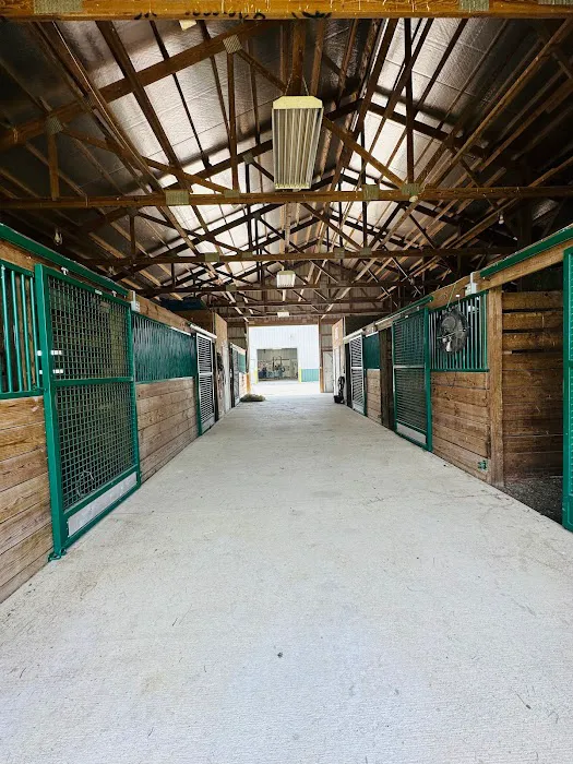 Horse & Hound Veterinary Clinic 9