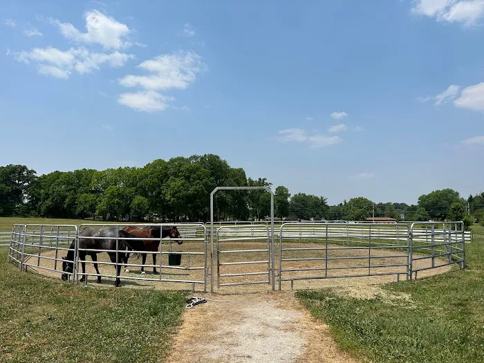 Horse & Hound Veterinary Clinic 7
