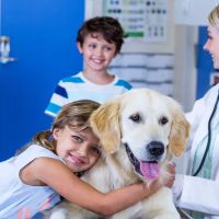 MiraVista Veterinary Diagnostics ico