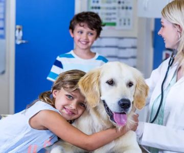 MiraVista Veterinary Diagnostics