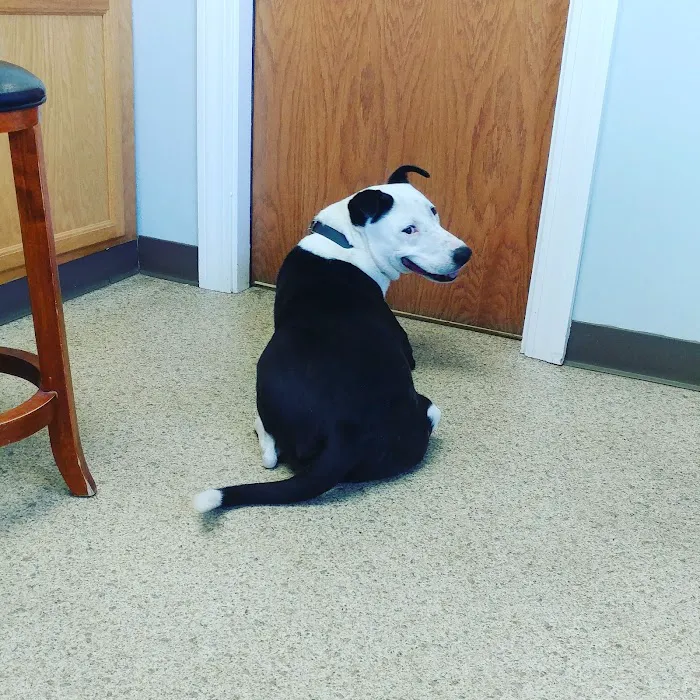 Tender Loving Care Animal Hospital 8