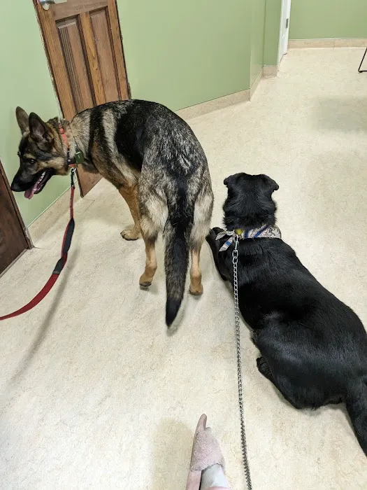 Tender Loving Care Animal Hospital 3