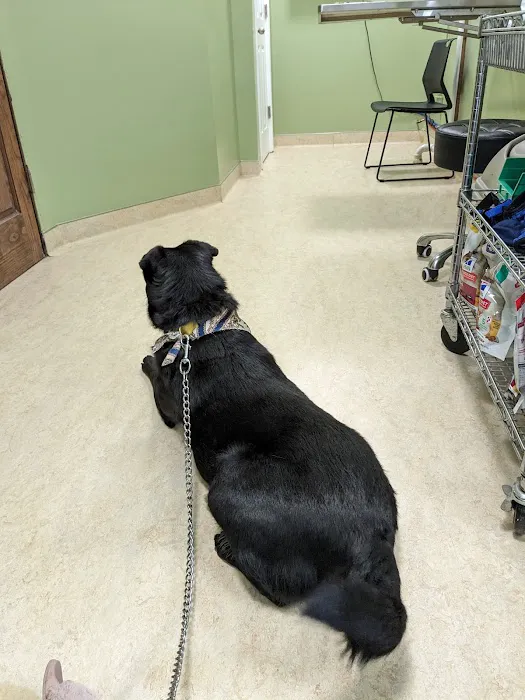 Tender Loving Care Animal Hospital 4