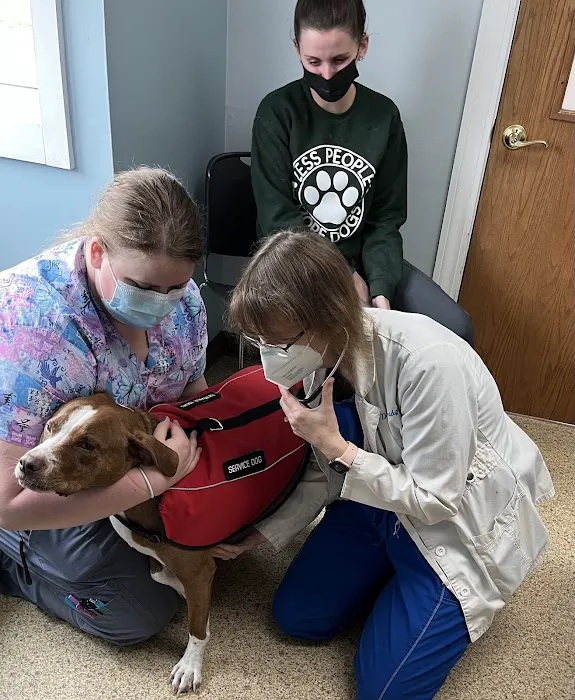 Tender Loving Care Animal Hospital 1
