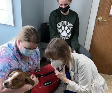 Tender Loving Care Animal Hospital