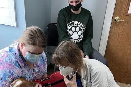Tender Loving Care Animal Hospital