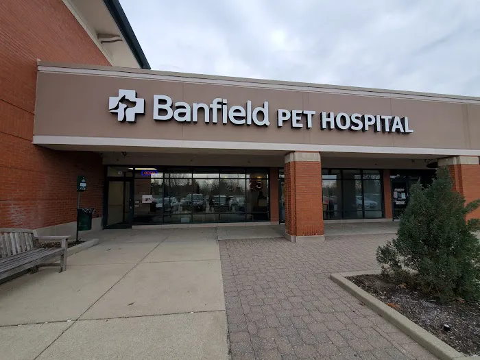 Banfield Pet Hospital 3