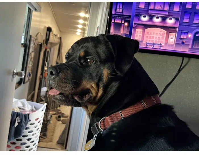 Banfield Pet Hospital 8