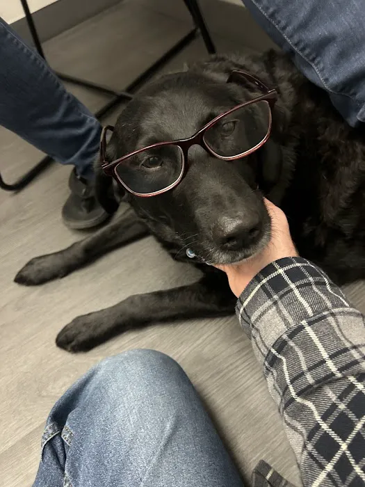 VCA Animal Hospitals Urgent Care - College Park 8