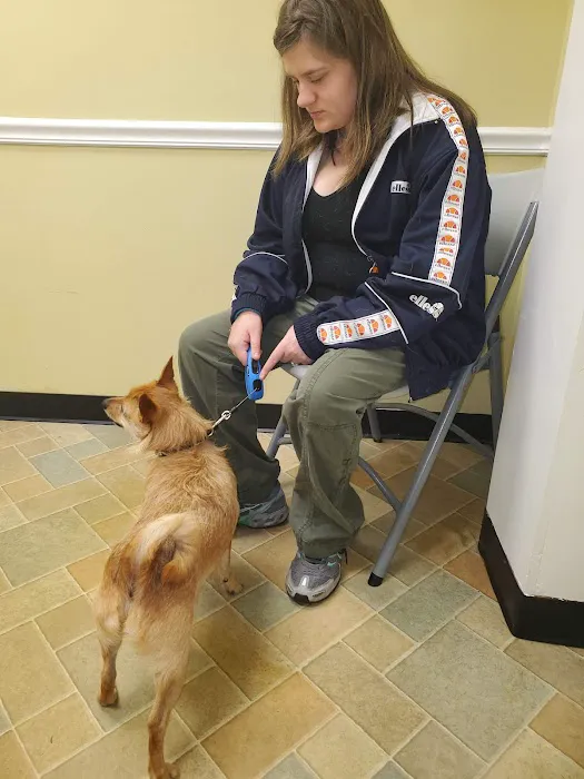 VIP Animal Care 10
