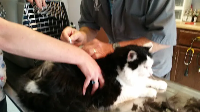 Greenfield Veterinary Clinic 12