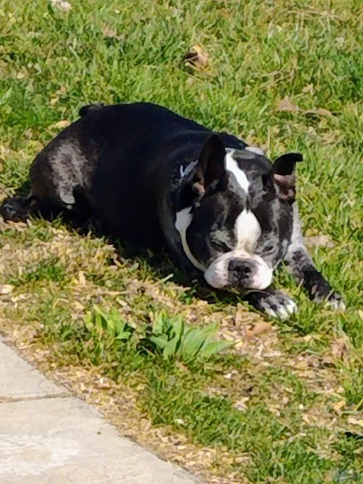 Greenfield Veterinary Clinic 12