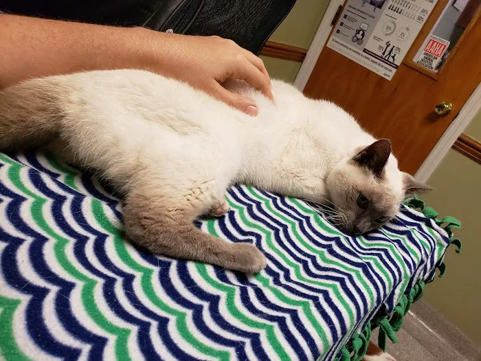 Noah's Brandywine Animal Hospital 12