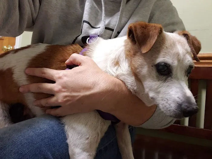 Noah's Brandywine Animal Hospital 12