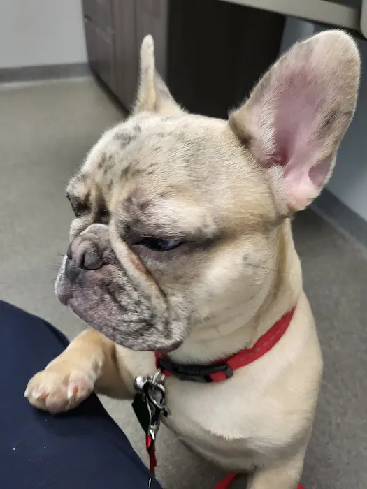Shelton Veterinary Care 12