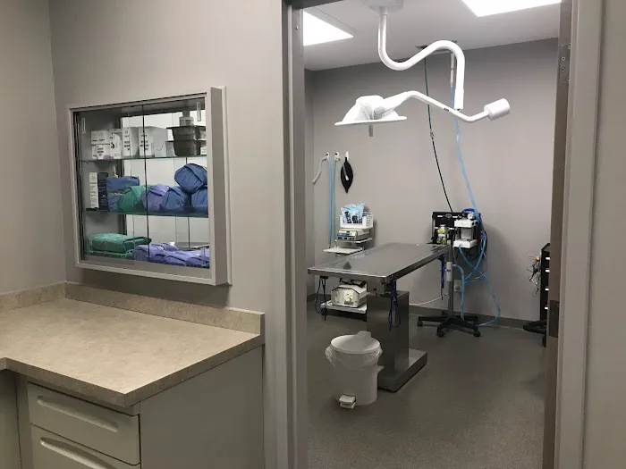 Shelton Veterinary Care 12