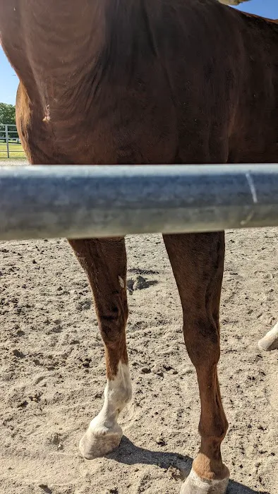 Midwest Equine & Vet Hospital 12