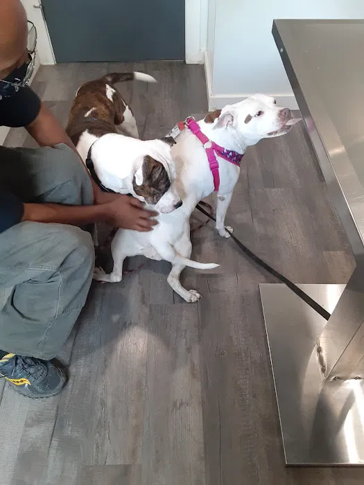 Bean Blossom Animal Clinic 3
