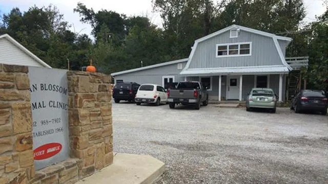 Bean Blossom Animal Clinic 7
