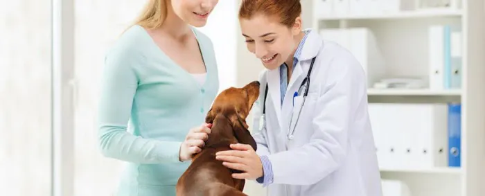 Bean Blossom Animal Clinic 1