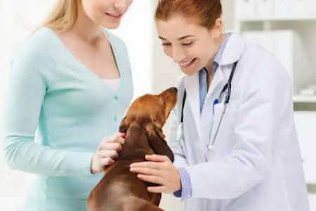 Bean Blossom Animal Clinic