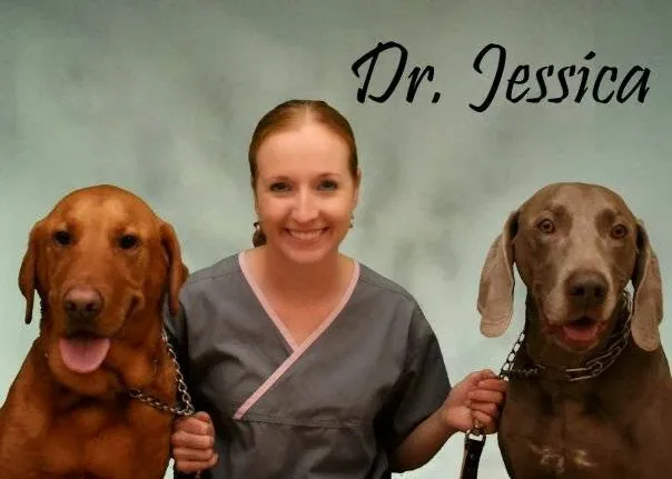 St Francis Pet Hospital - Centerton 7
