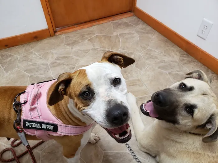 St Francis Pet Hospital - Centerton 8