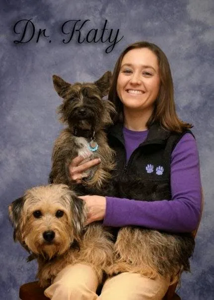 St Francis Pet Hospital - Centerton 10