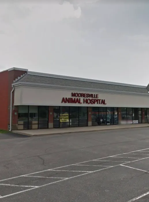 Mooresville Animal Hospital 5