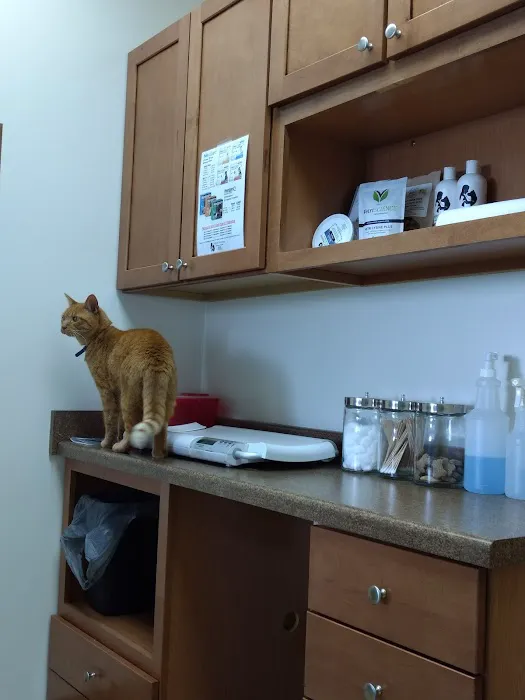 Furry Friends Veterinary Hospital 5