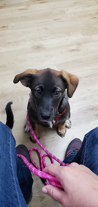 Furry Friends Veterinary Hospital 4