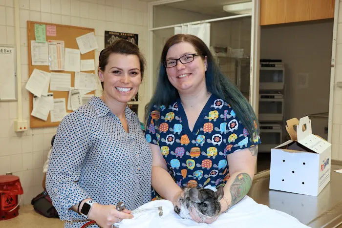 University of Illinois Veterinary Teaching Hospital 5