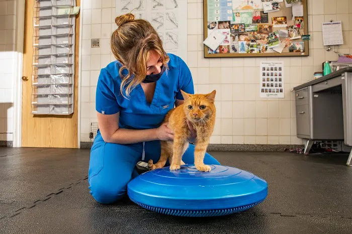 University of Illinois Veterinary Teaching Hospital 3