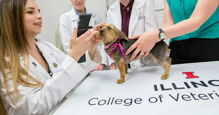 University of Illinois Veterinary Teaching Hospital 1