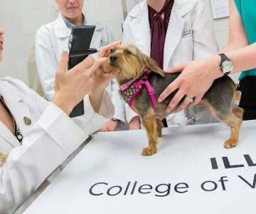 University of Illinois Veterinary Teaching Hospital