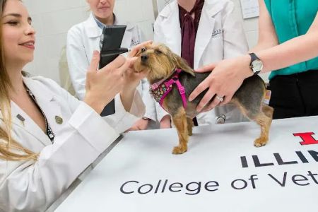 University of Illinois Veterinary Teaching Hospital