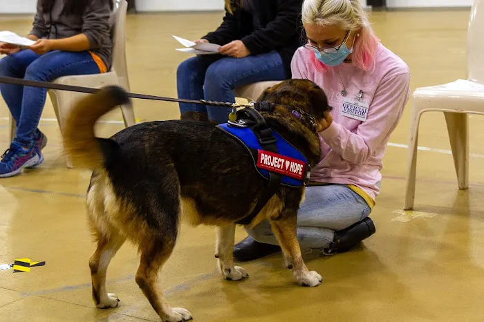 University of Illinois Veterinary Teaching Hospital 7