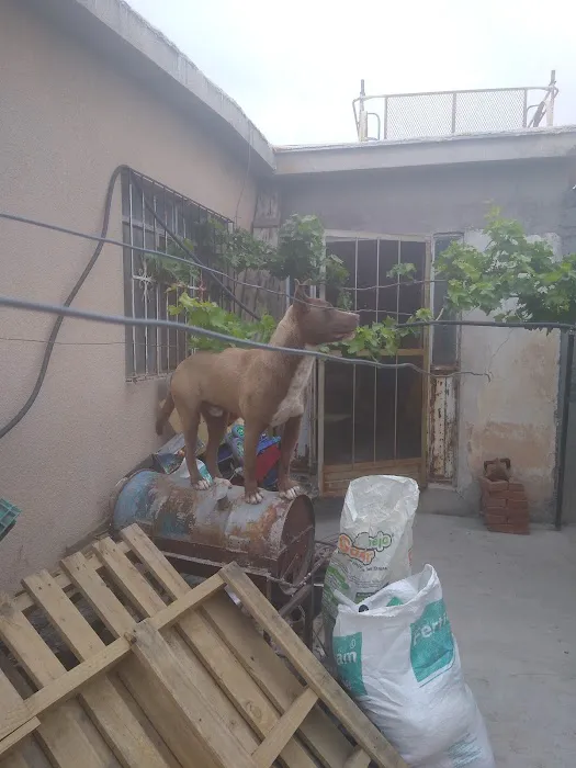 Banfield Pet Hospital 12