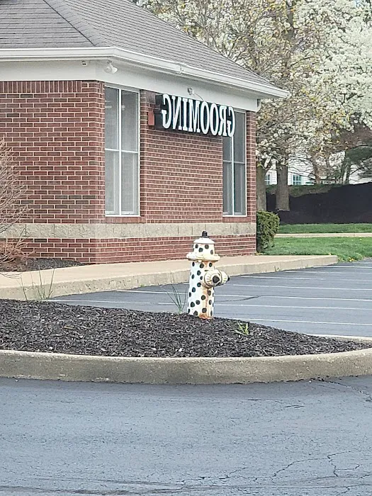 Windermere Animal Hospital 1