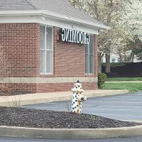 Windermere Animal Hospital ico