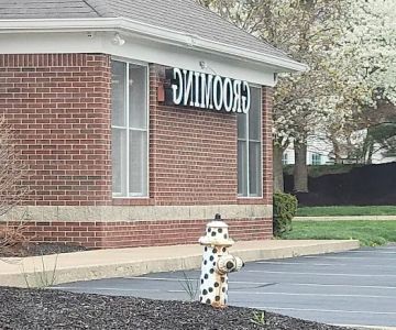 Windermere Animal Hospital