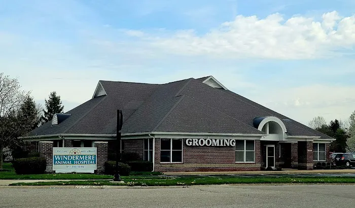 Windermere Animal Hospital 7